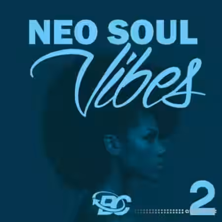 Big Citi Loops Neo Soul Vibes 2 [WAV] - Sample Pack Artwork