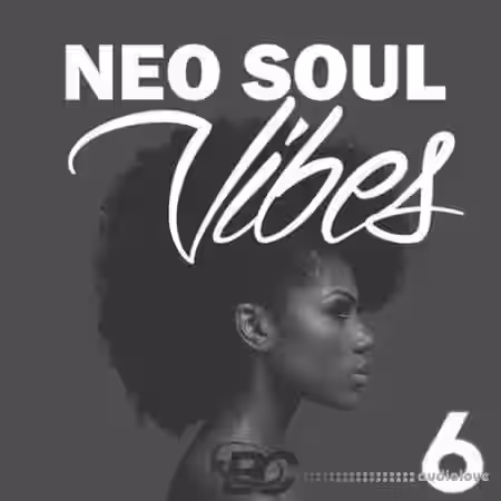 Big Citi Loops Neo Soul Vibes 6 [WAV] - Sample Pack Artwork