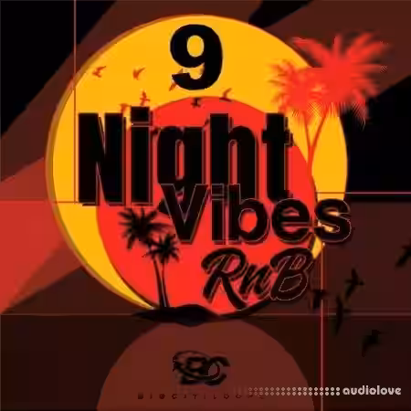 Big Citi Loops Night Vibes RnB 9 [WAV] - Sample Pack Artwork