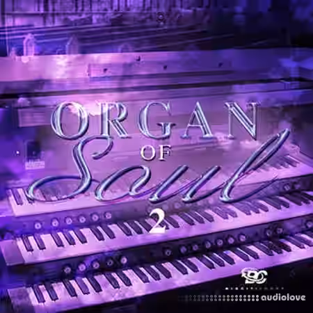 Big Citi Loops Organ Of Soul 2 [WAV] - Sample Pack Artwork