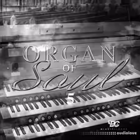 Big Citi Loops Organ Of Soul 5 [WAV] - Sample Pack Artwork