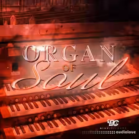 Big Citi Loops Organ Of Soul [WAV, MiDi] - Sample Pack Artwork