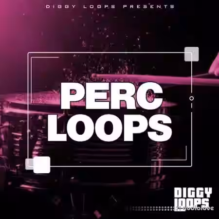 Big Citi Loops Perc Loops [WAV] - Sample Pack Artwork