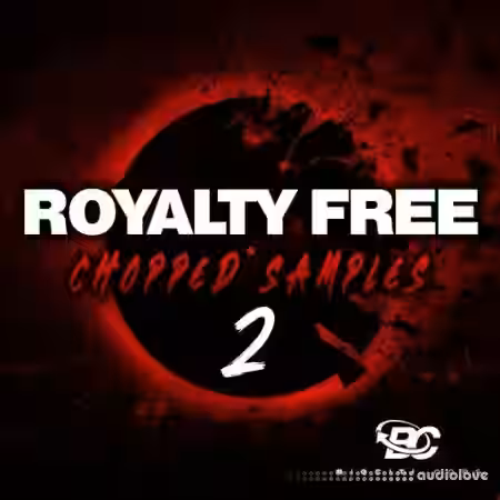 Big Citi Loops Royalty-Free Chopped Samples 2 [WAV] - Sample Pack Artwork