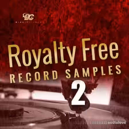 Big Citi Loops Royalty-Free Record Samples Part 2 [WAV] - Sample Pack Artwork