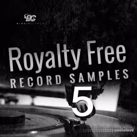 Big Citi Loops Royalty-Free Record Samples Part 5 [WAV] - Sample Pack Artwork