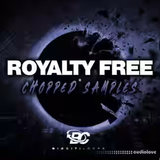 Big Citi Loops Royaltyfree Chopped Samples [WAV]
