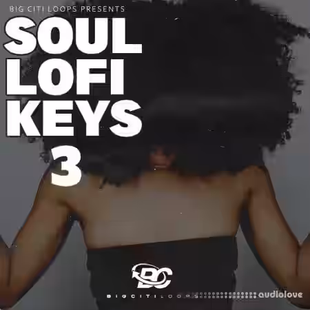 Big Citi Loops Soul Lofi Keys 3 [WAV] - Sample Pack Artwork