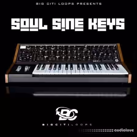 Big Citi Loops Soul Sine Keys [WAV] - Sample Pack Artwork