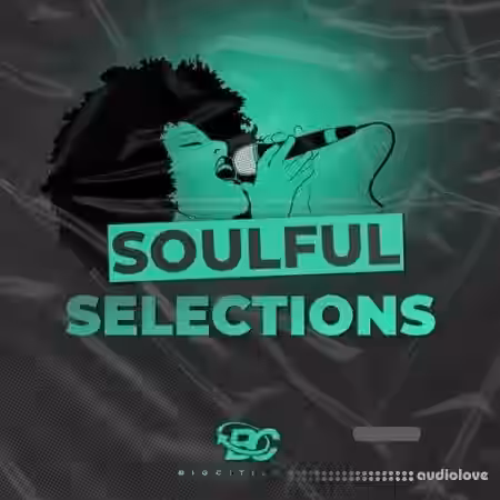 Big Citi Loops Soulful Selections [WAV] - Sample Pack Artwork
