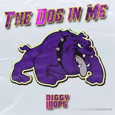 Big Citi Loops The Dog In Me [WAV] - Sample Pack Artwork