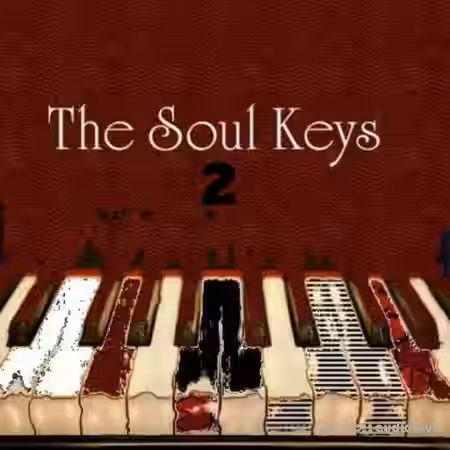 Big Citi Loops The Soul Keys 2 [WAV] - Sample Pack Artwork