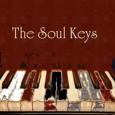 Big Citi Loops The Soul Keys [WAV] - Sample Pack Artwork