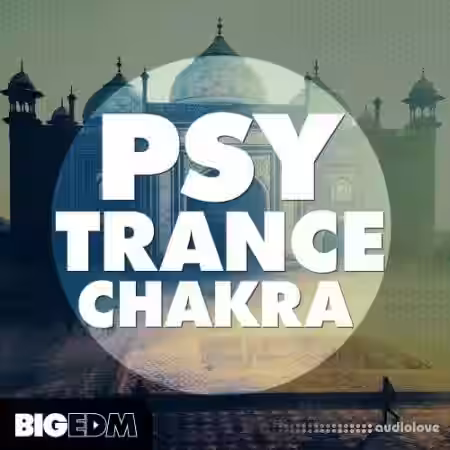 Big EDM Psytrance Chakra [WAV, MiDi, Synth Presets] - Sample Pack Artwork