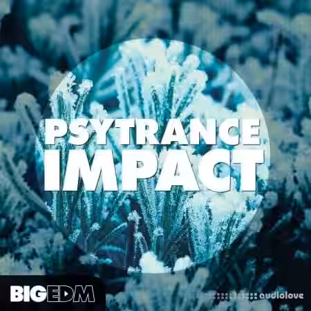 Big EDM Psytrance Impact [WAV, MiDi, Synth Presets] - Sample Pack Artwork