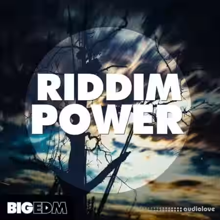 Big EDM Riddim Power [WAV, MiDi, Synth Presets] - Sample Pack Artwork