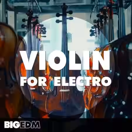 Big EDM Violin For Electro [WAV, MiDi, Synth Presets] - Sample Pack Artwork