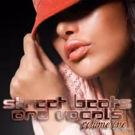 Big Fish Audio Street Beats and Vocals Vol.1 [MULTiFORMAT] - Sample Pack Artwork