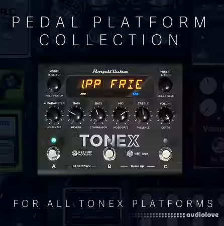 Big Hairy Profiles TONEX Pedal Platform Collection [Synth Presets] - Sample Pack Artwork