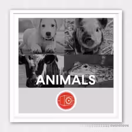Big Room Sound Animals [WAV] - Sample Pack Artwork