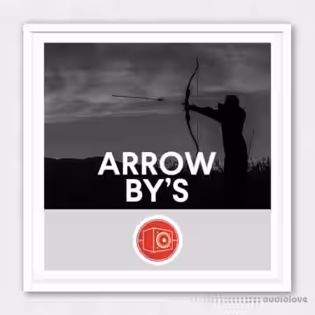 Big Room Sound Arrow By's [WAV] - Sample Pack Artwork