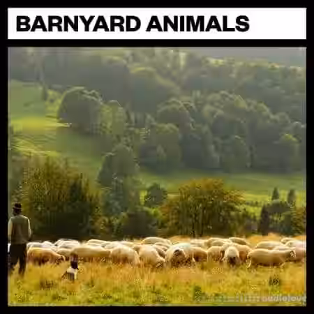Big Room Sound Barnyard Animals [WAV] - Sample Pack Artwork