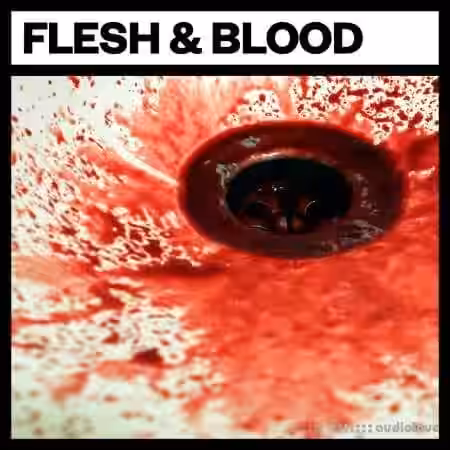 Big Room Sound Flesh and Blood [WAV] - Sample Pack Artwork