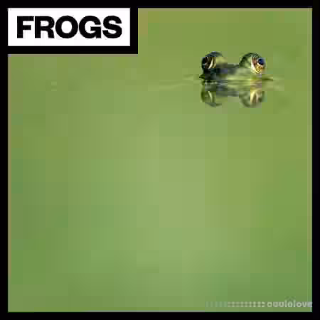 Big Room Sound Frogs [WAV] - Sample Pack Artwork