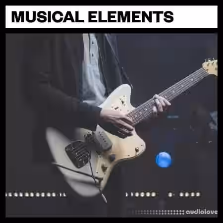 Big Room Sound Musical Elements [WAV] - Sample Pack Artwork