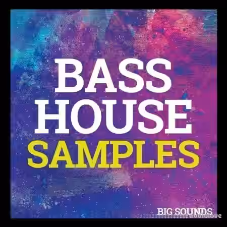 Big Sounds Bass House Samples [WAV, MiDi, Synth Presets] - Sample Pack Artwork