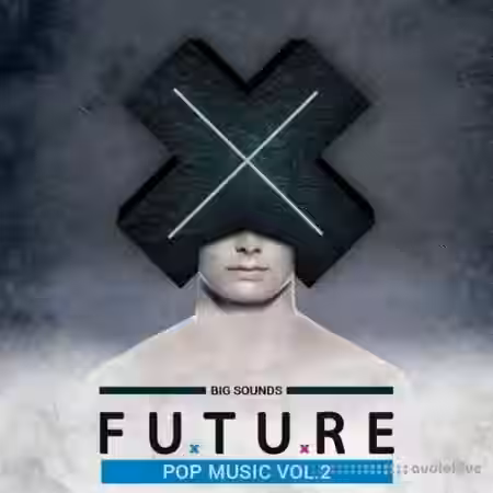 Big Sounds Future Pop Music Vol.2 [WAV, MiDi, Synth Presets] - Sample Pack Artwork