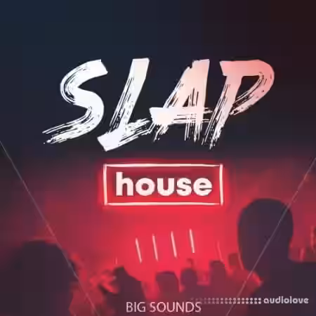Big Sounds Slap House [WAV, MiDi, Synth Presets] - Sample Pack Artwork