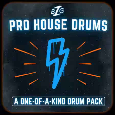 Big Z Sounds Big Z's Pro House Drums [WAV] - Sample Pack Artwork