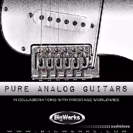 BigWerks Pure Analog Guitars [KONTAKT] - Sample Pack Artwork