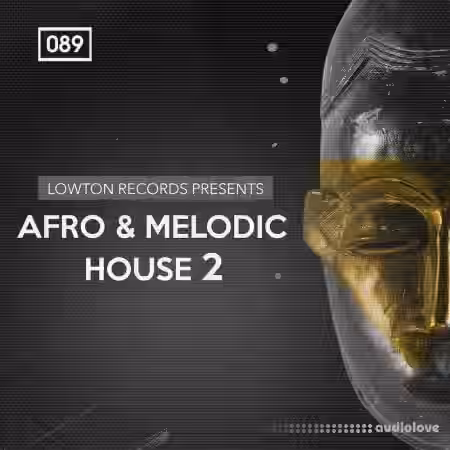 Bingoshakerz Afro And Melodic House 2 By Lowton Records [WAV, REX] - Sample Pack Artwork