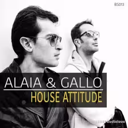 Bingoshakerz Alaia and Gallo House Attitude [WAV] - Sample Pack Artwork