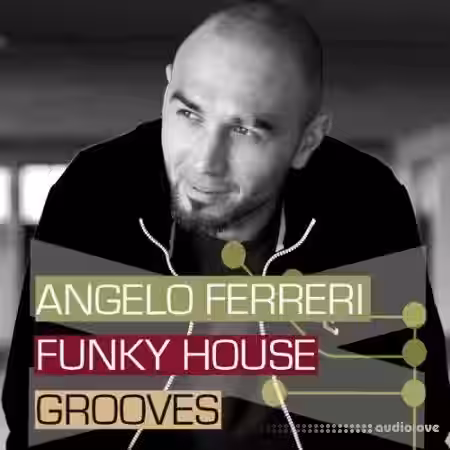 Bingoshakerz Angelo Ferreri Funky House Grooves [WAV] - Sample Pack Artwork
