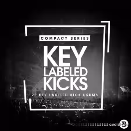 Bingoshakerz Compact Series Key Labeled Kicks [WAV] - Sample Pack Artwork