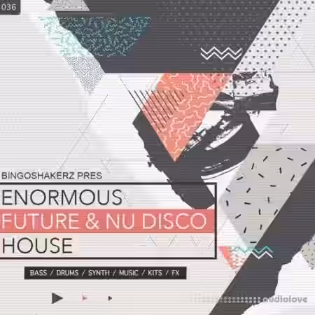 Bingoshakerz Enormous Future And Nu Disco House [WAV] - Sample Pack Artwork