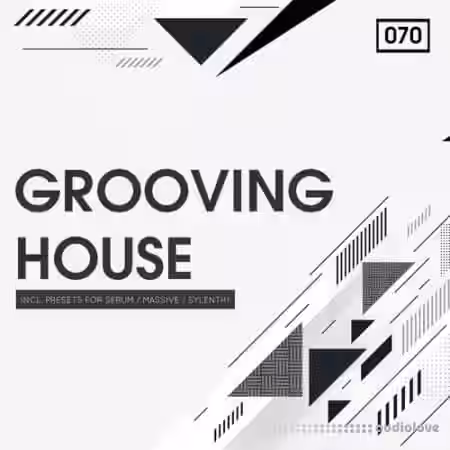 Bingoshakerz Grooving House [WAV, Synth Presets] - Sample Pack Artwork