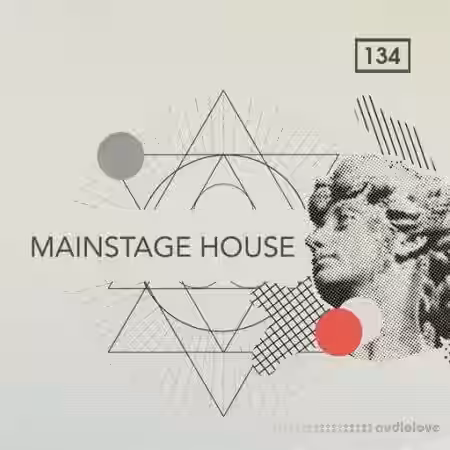 Bingoshakerz Mainstage House [WAV] - Sample Pack Artwork
