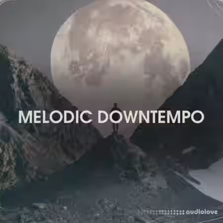 Bingoshakerz Melodic Downtempo [WAV] - Sample Pack Artwork