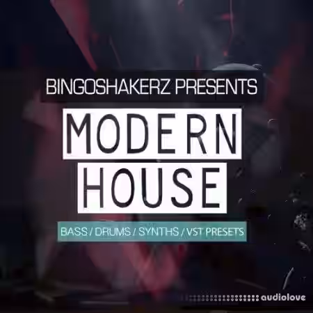 Bingoshakerz Modern House [WAV, Synth Presets] - Sample Pack Artwork
