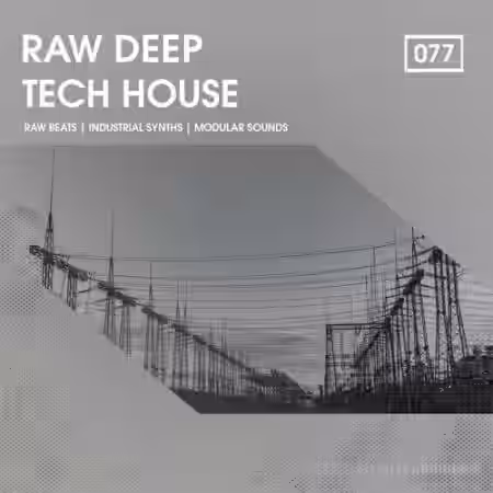 Bingoshakerz Raw Deep Tech House [WAV] - Sample Pack Artwork