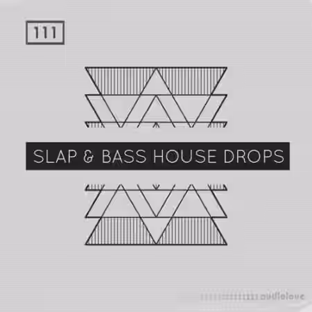 Bingoshakerz Slap and Bass House Drops [WAV, MiDi, REX] - Sample Pack Artwork