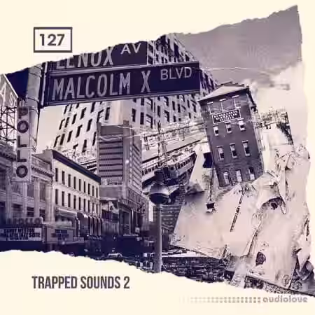 Bingoshakerz Trapped Sounds 2 [WAV, REX] - Sample Pack Artwork