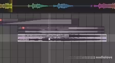 Bird's Rolling Sampler v1.0.5 [WiN] - Sample Pack Artwork