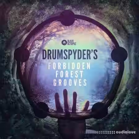Black Octopus Drumspyder's Forbidden Forest Grooves [WAV] - Sample Pack Artwork