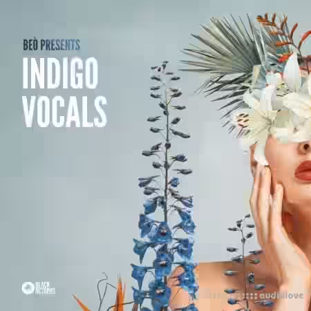 Black Octopus Indigo Vocals by Be├▓ [WAV] - Sample Pack Artwork