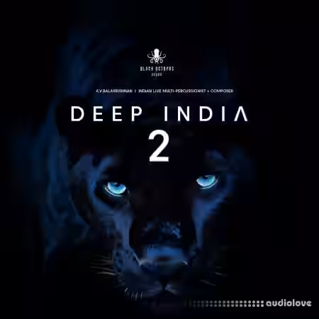 Black Octopus Sound Deep India Vol.2 [WAV] - Sample Pack Artwork